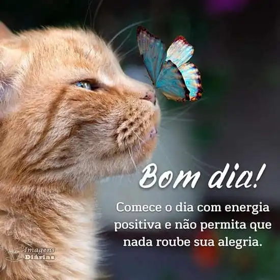 Bom dia