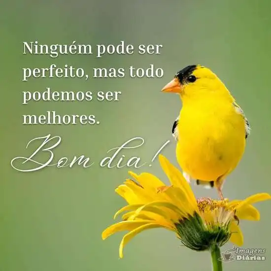Bom dia