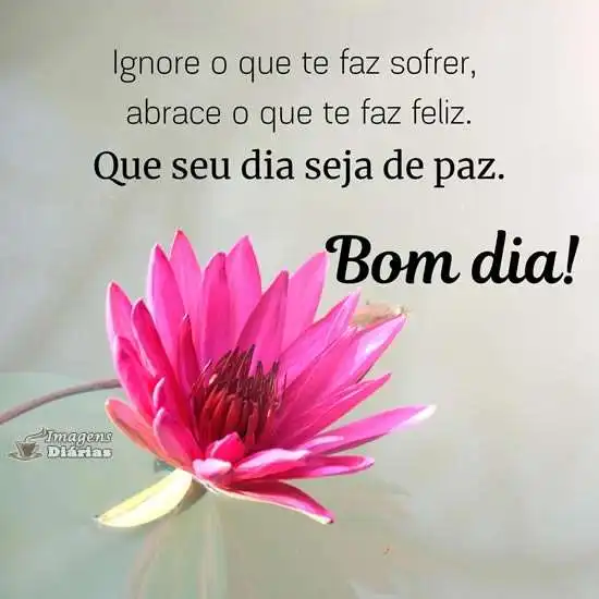 Bom dia