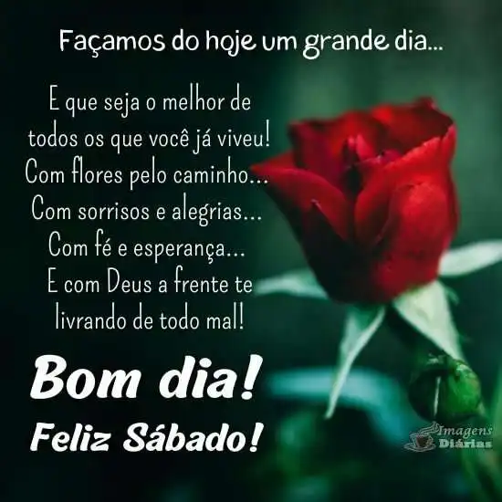 Bom dia e feliz sábado - Imagens Diárias - 20973 Bom dia e feliz sábado - Imagens Diárias - 20973