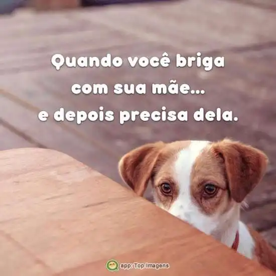 Briga com a mãe