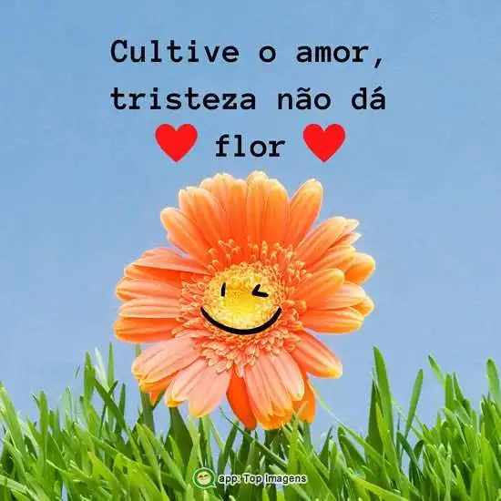 Cultive amor