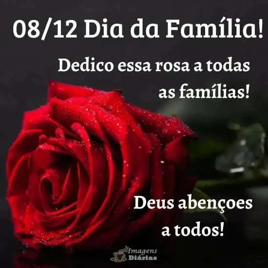 Dia da família