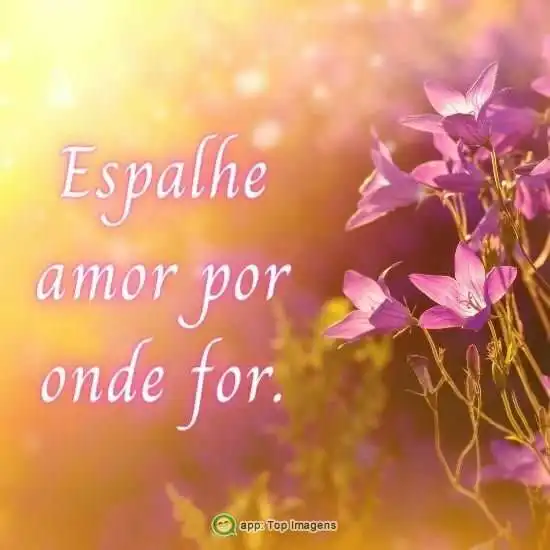 Espalhe amor