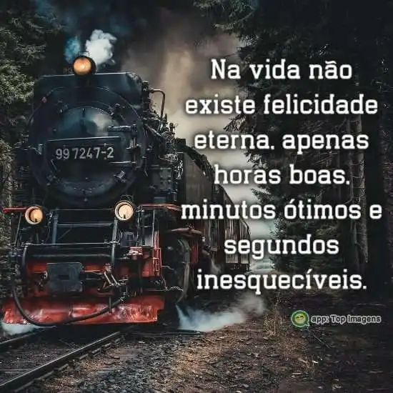 Felicidade na vida