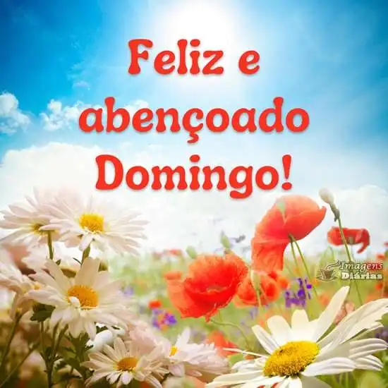 Feliz e abençoado domingo