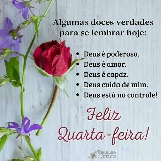 Feliz quarta-feira