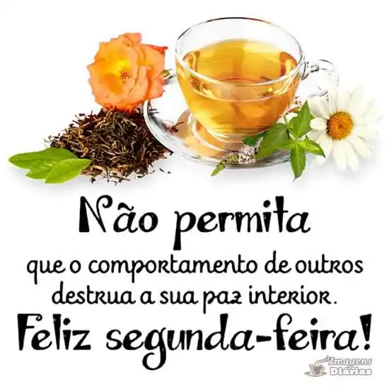 Feliz segunda-feira