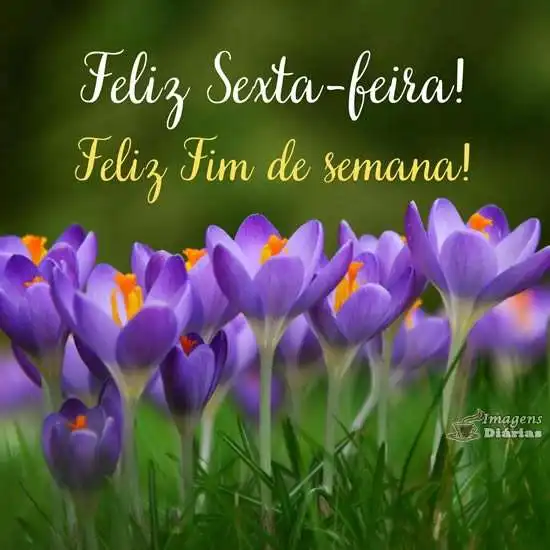 Feliz sexta-feira