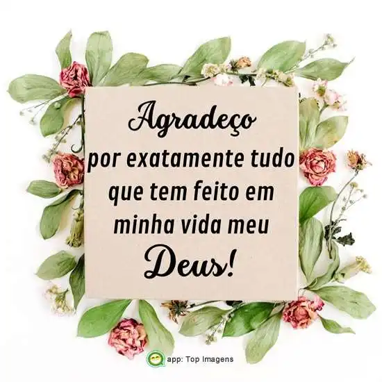 Gratidão meu Deus