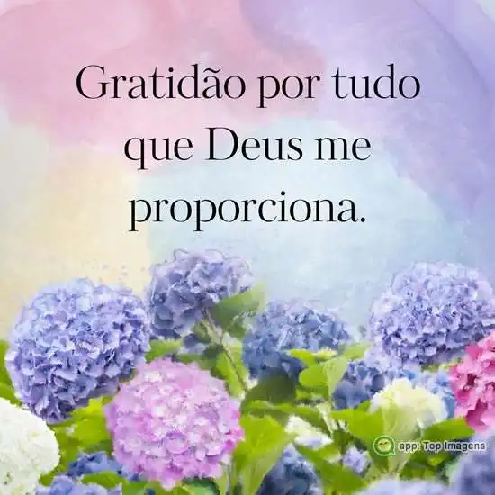 Gratidão por tudo