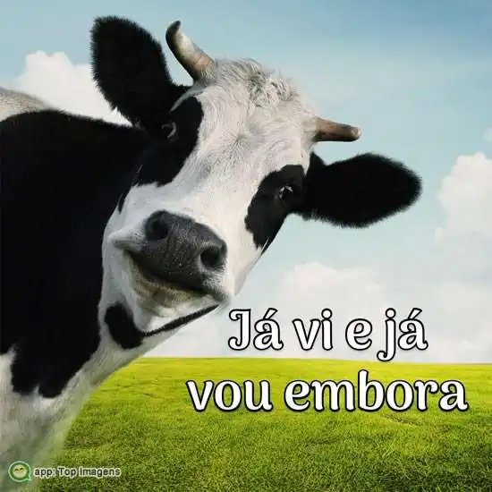 Já vi e já vou embora