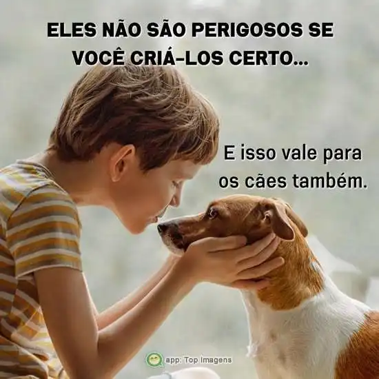 Não são perigosos