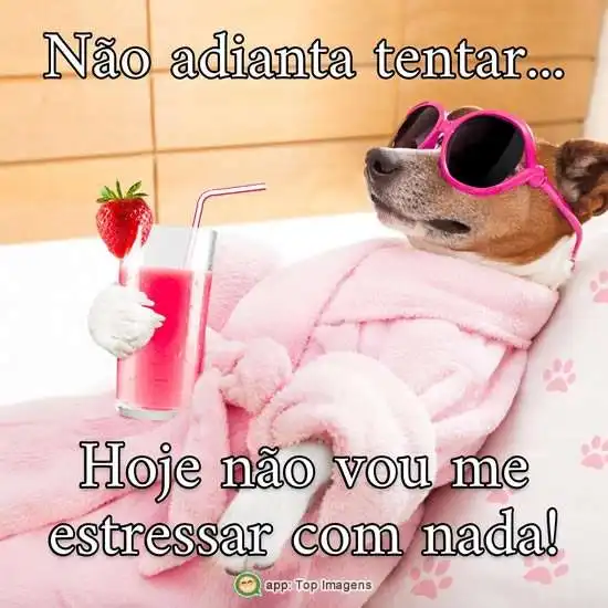 Não vou estressar com nada