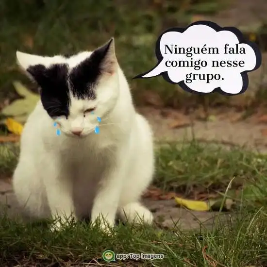 Ninguém fala comigo