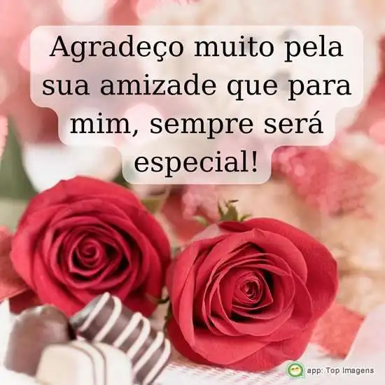 Obrigado pela sua amizade