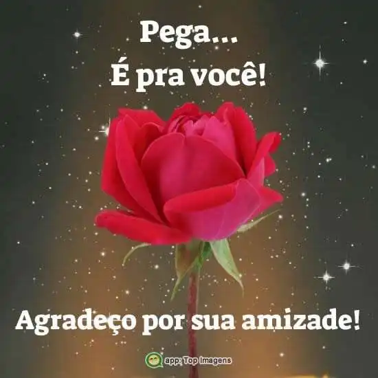 Obrigado pela sua amizade