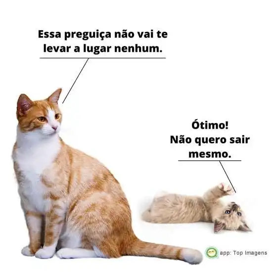 Preguiça não leva a lugar algum