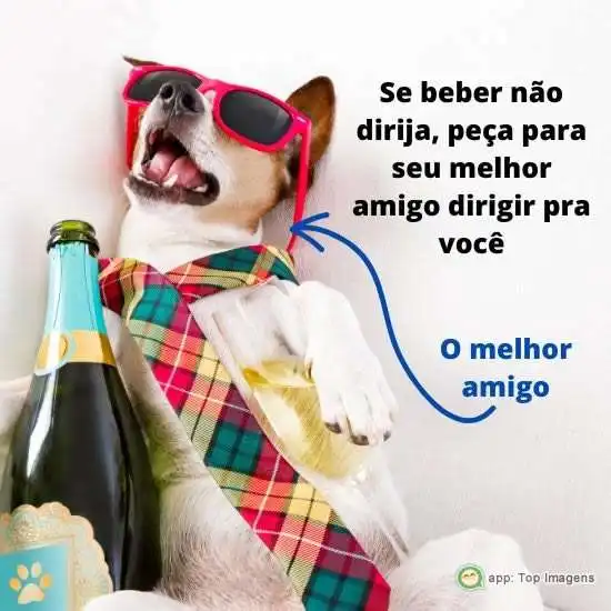 Se beber não dirija