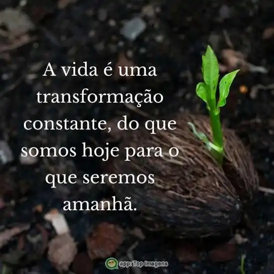 Transformação constante