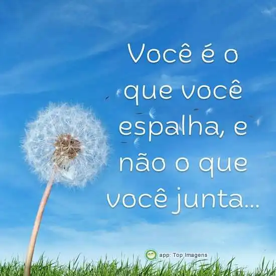 Você é o que espalha