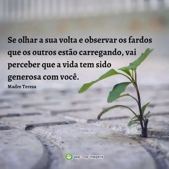 A vida tem sido generosa