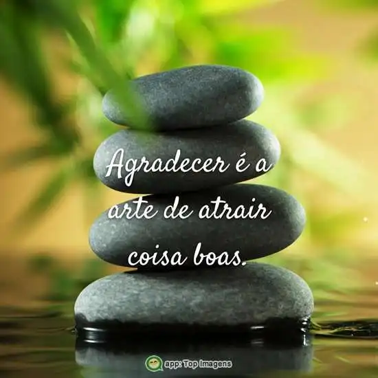 Agradecer é arte