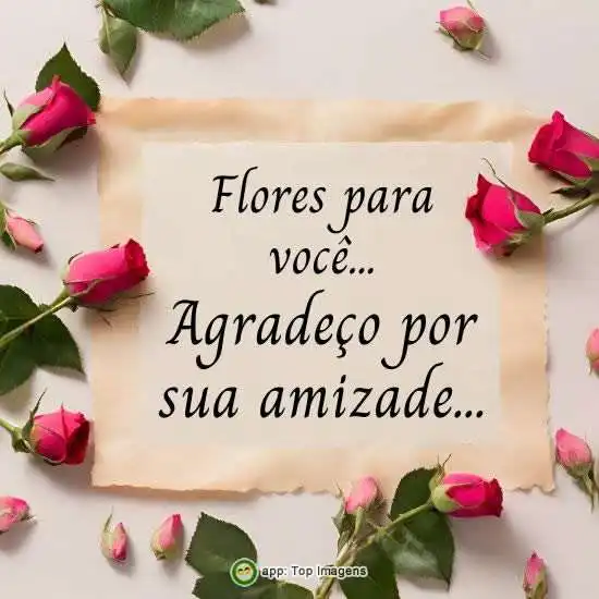 Agradeço por sua amizade