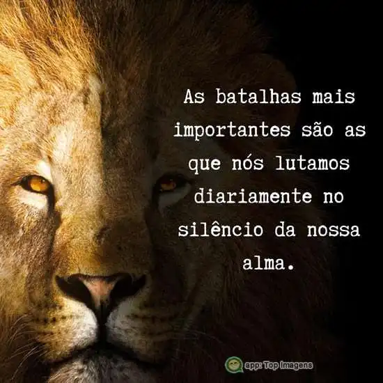 Batalhas mais importantes