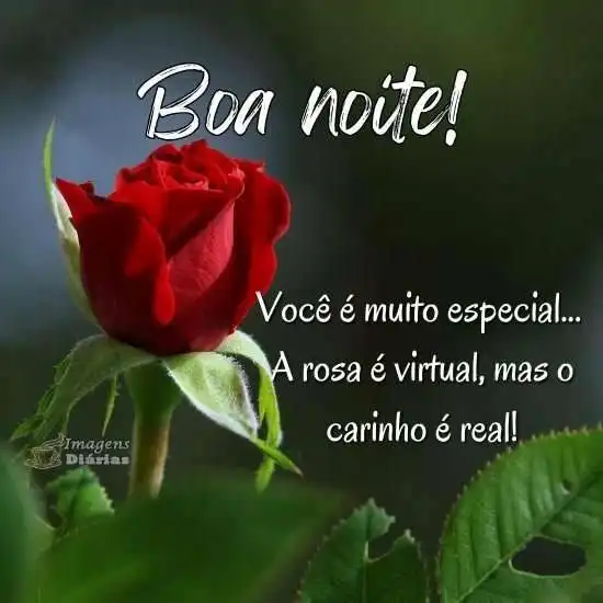 Boa noite