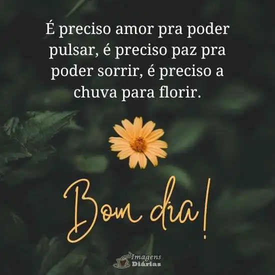 Bom dia