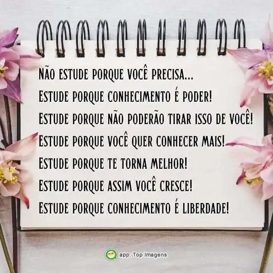 Conhecimento é liberdade