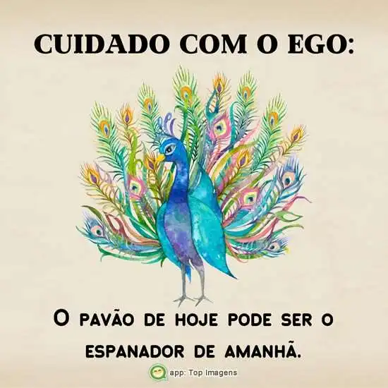Cuidado com o ego
