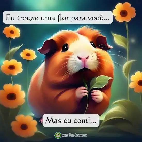 Flor para você