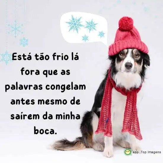Frio lá fora