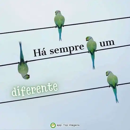 Há sempre um diferente