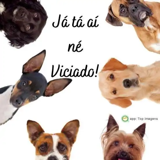 Já tá ai né viciado