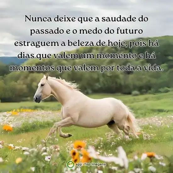 Momentos que valem uma vida