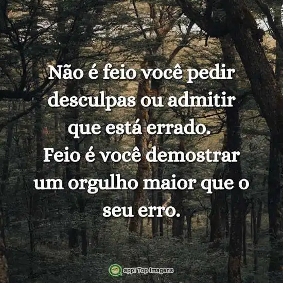 Não é feio pedir desculpas