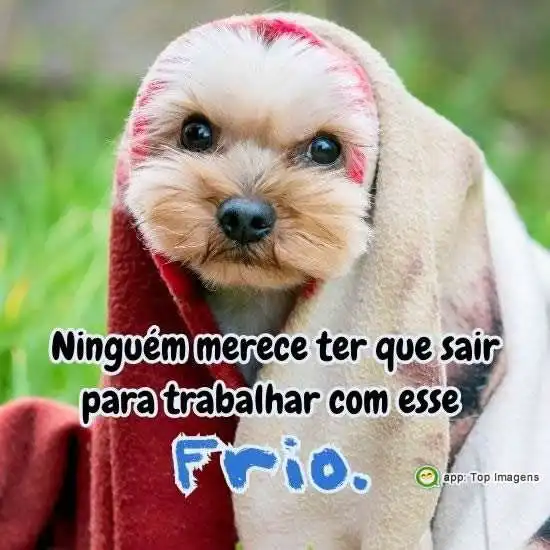 Trabalhar no frio