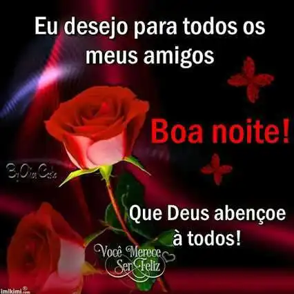 Boa noite amigos