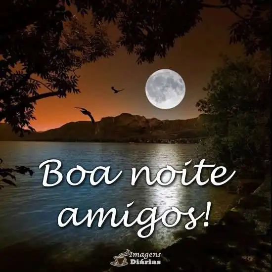 Boa noite amigos