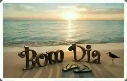 Bom dia