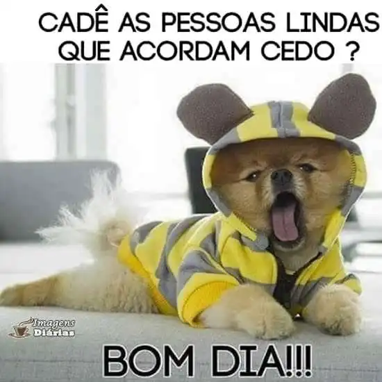 Cadê as pessoas lindas