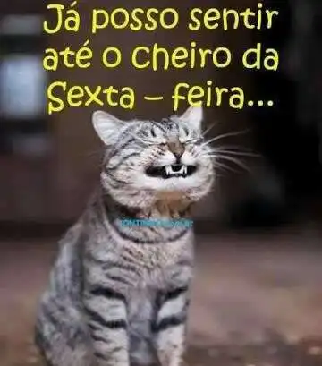 Cheiro de sexta