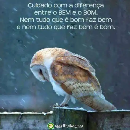 Diferença entre bem e bom