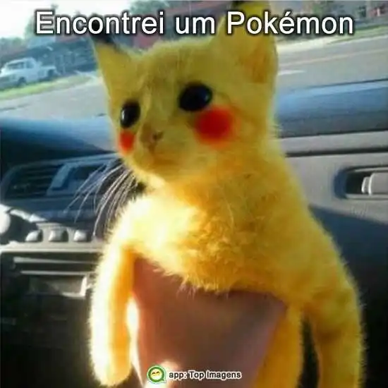 Encontrei um pokémon