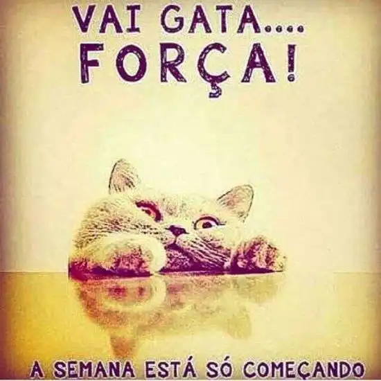 Força gata