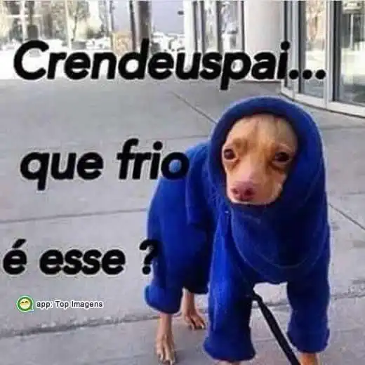 Que frio é esse