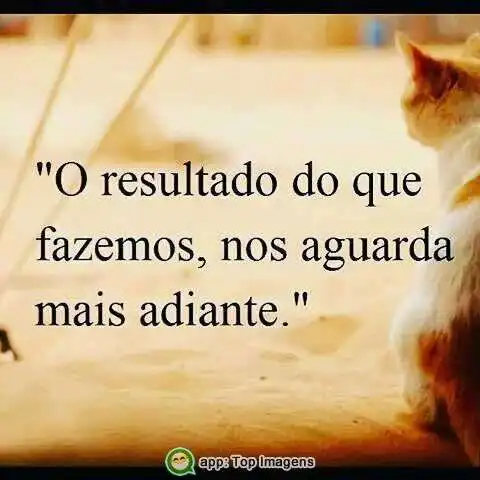 Resultado logo adiante